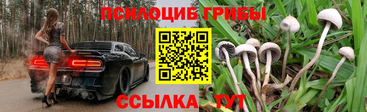 Псилоцибиновые грибы мицелий  как найти закладки  Астрахань  Псилоцибиновые грибы ЛСД 
