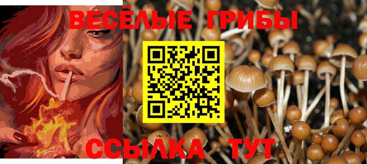 Галлюциногенные грибы мицелий Астрахань